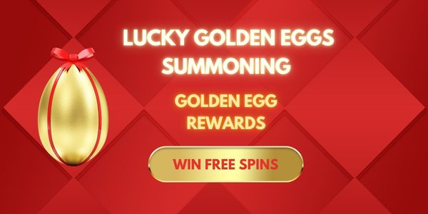 bingofun live casino and card game promotion banner